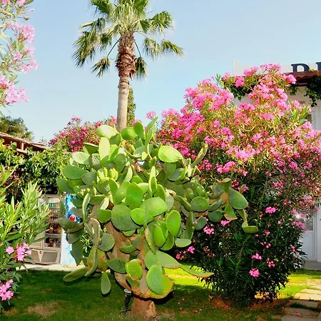 Szálloda Regal Bitez