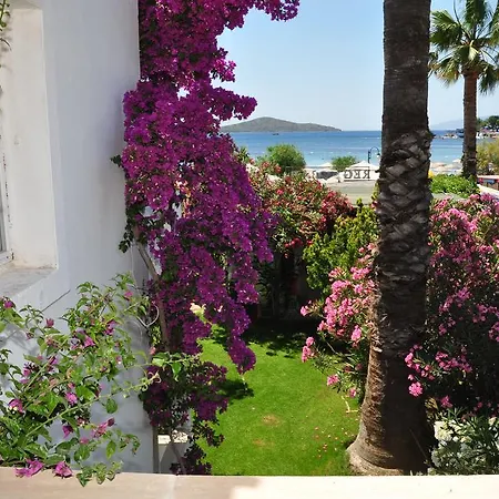 Regal Ξενοδοχείο 2*