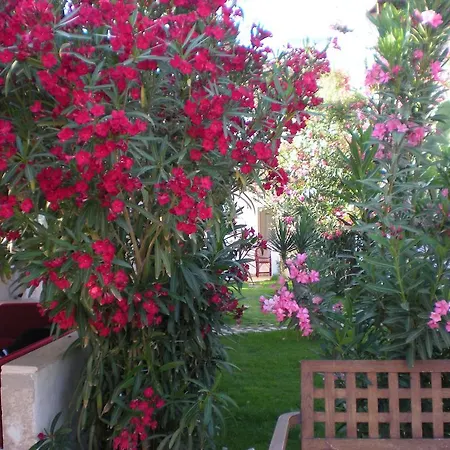 호텔 Regal 바이즈